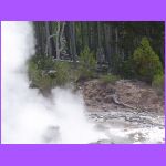 Steamboat Geyser - Errupting.jpg